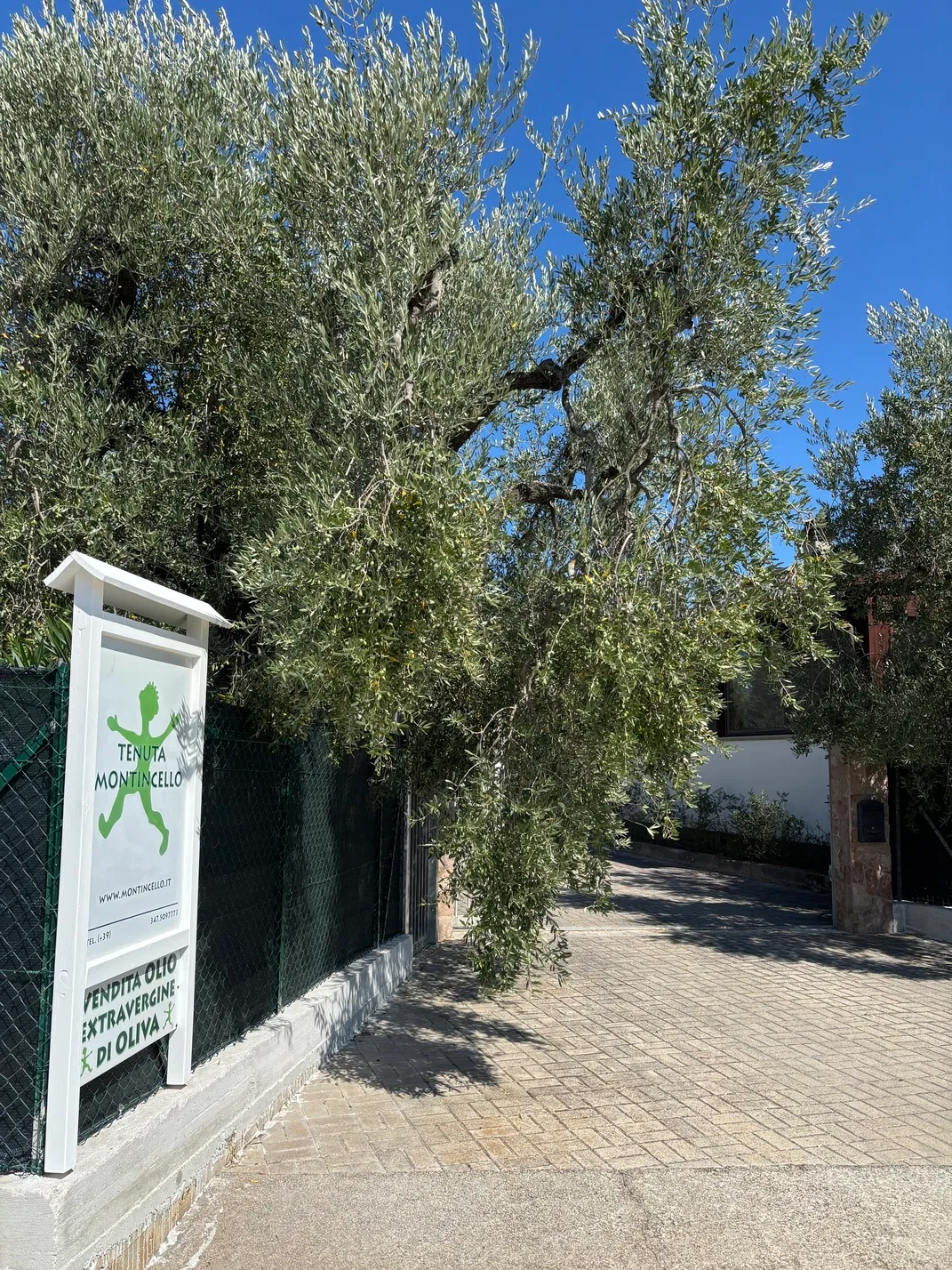 La Tenuta Montincello, foto 1
