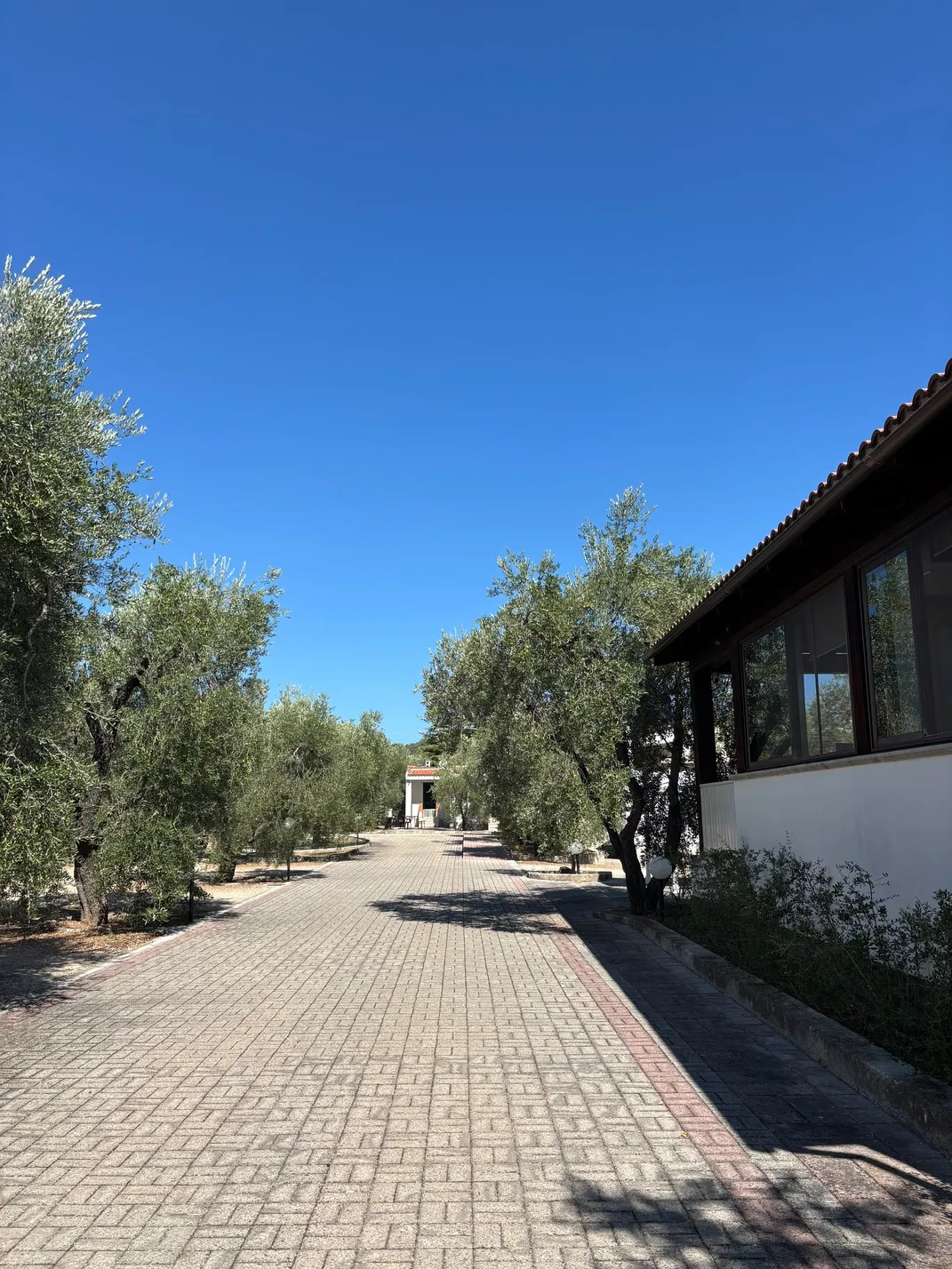 La Tenuta Montincello, foto 2