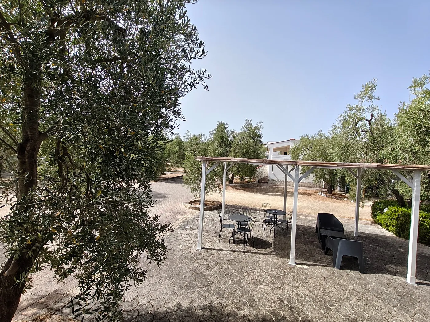 La Tenuta Montincello, foto 2