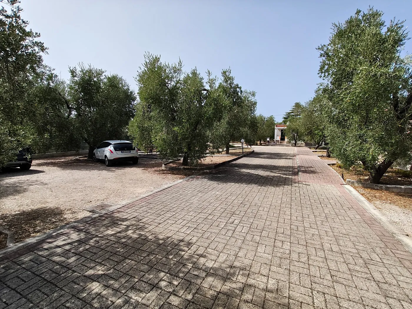 La Tenuta Montincello, foto 4