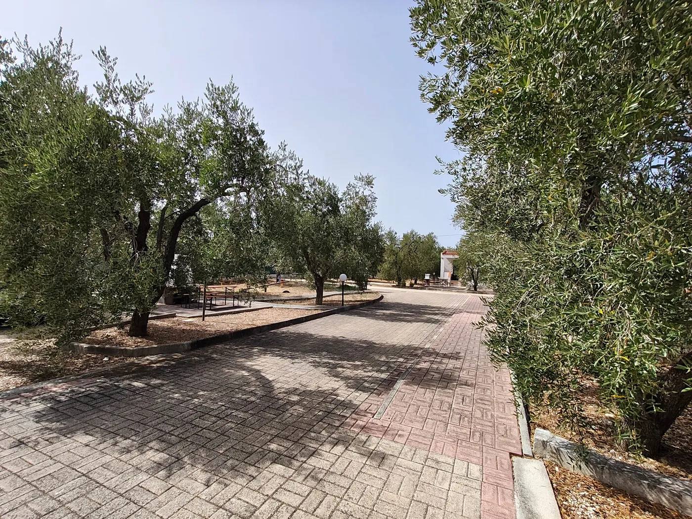 La Tenuta Montincello, foto 5