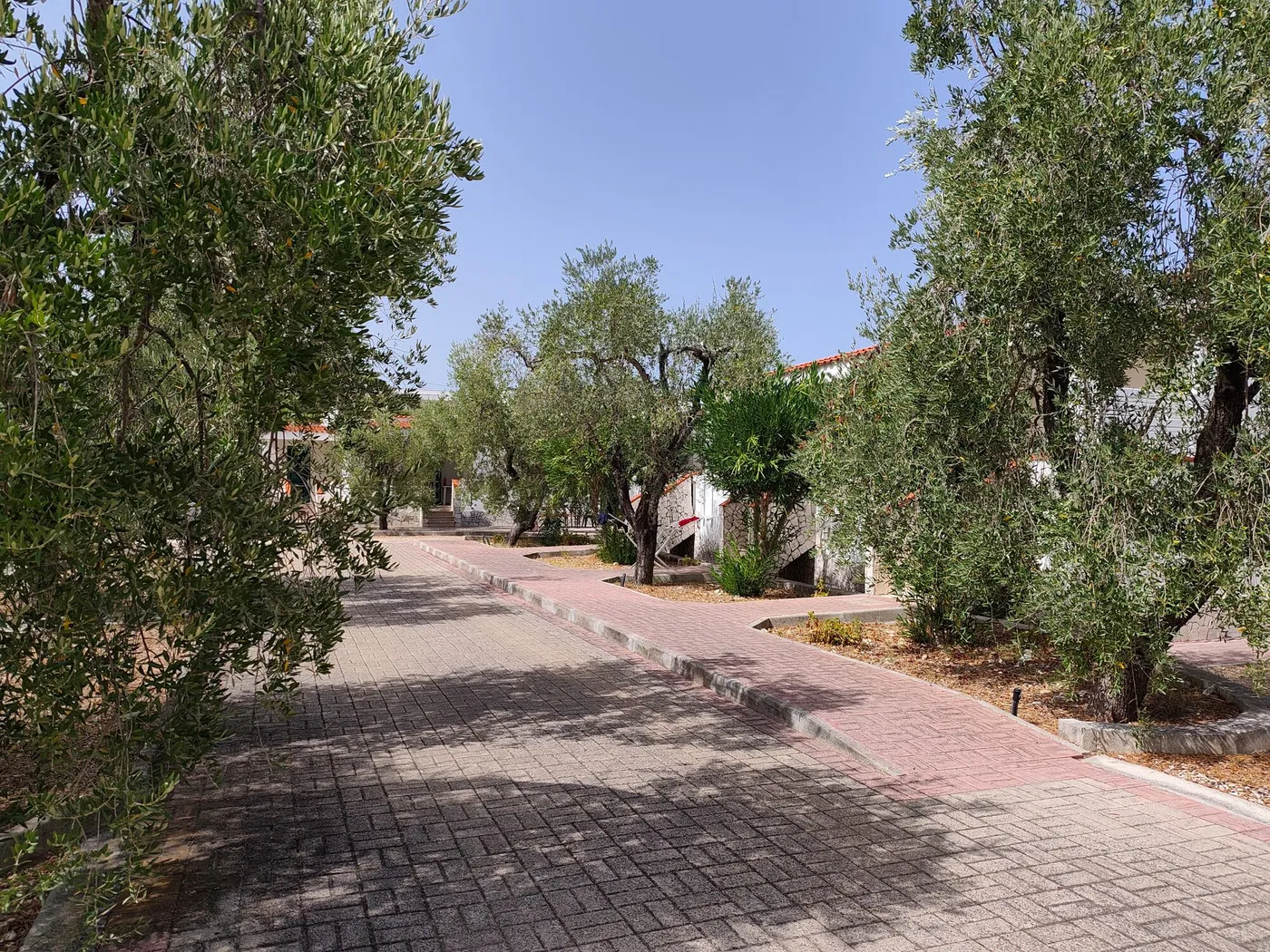 La Tenuta Montincello, foto 6