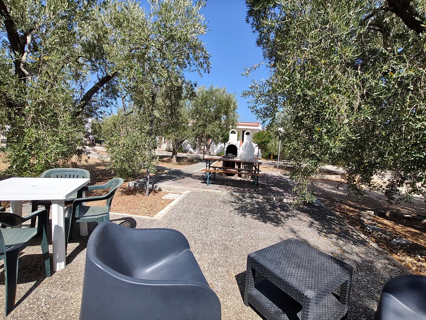 La Tenuta Montincello, foto 9
