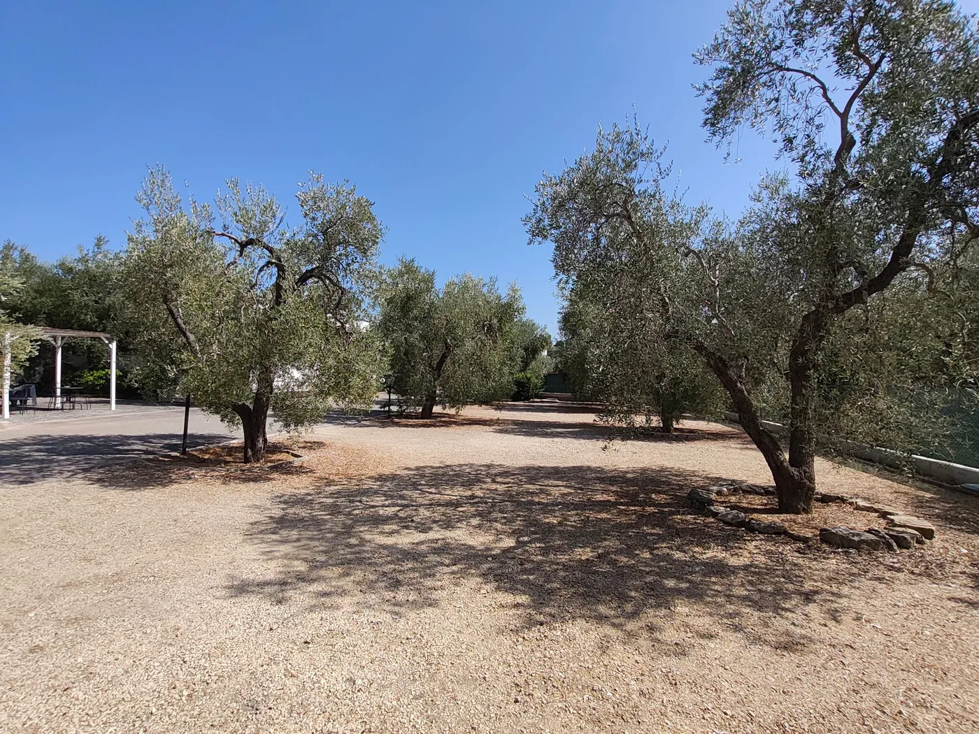 La Tenuta Montincello, foto 13