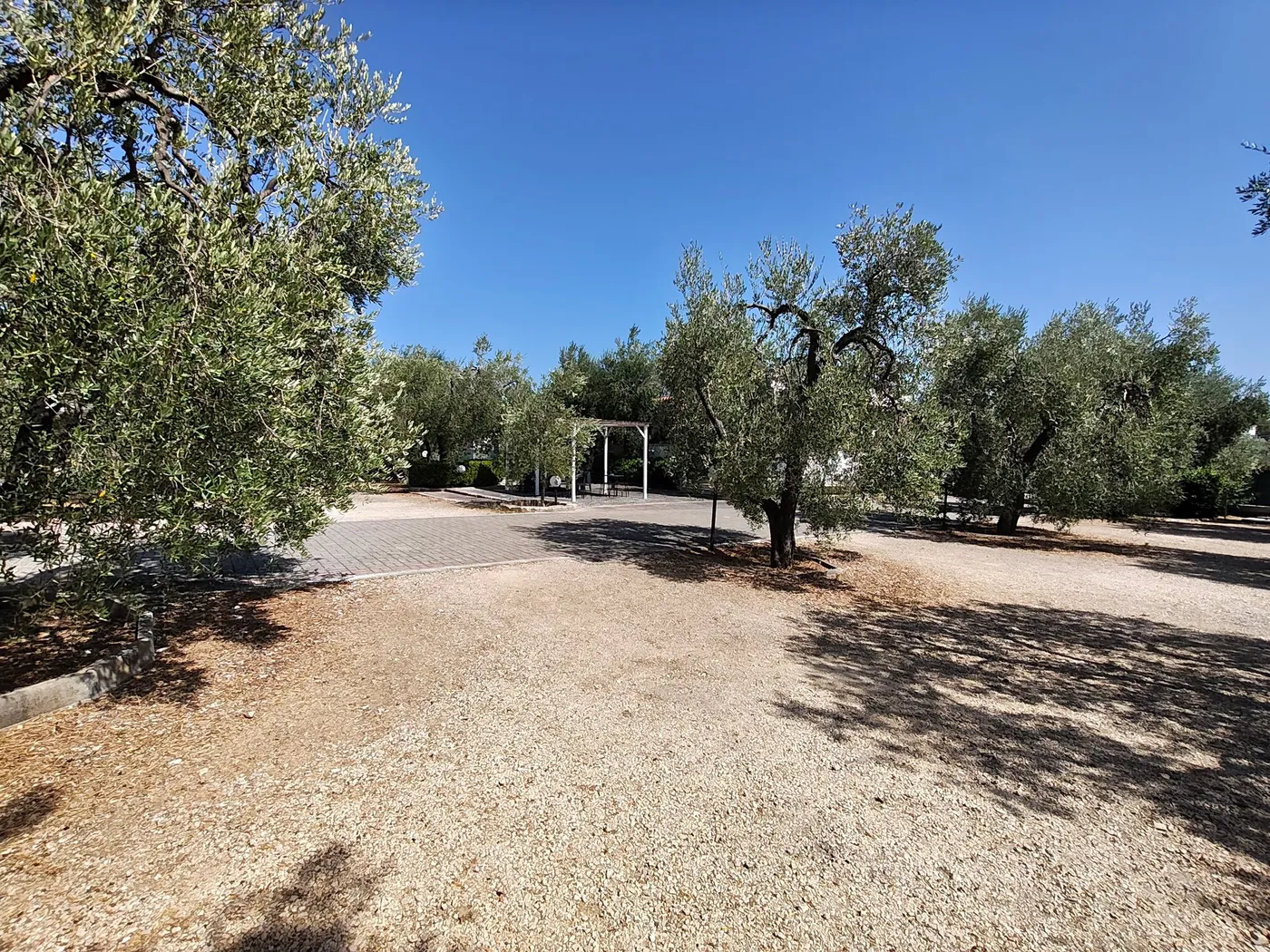 La Tenuta Montincello, foto 14