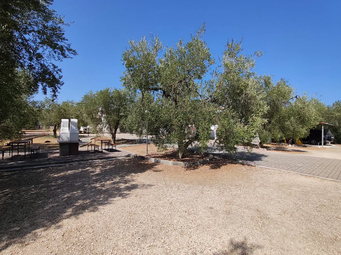 La Tenuta Montincello, foto 15