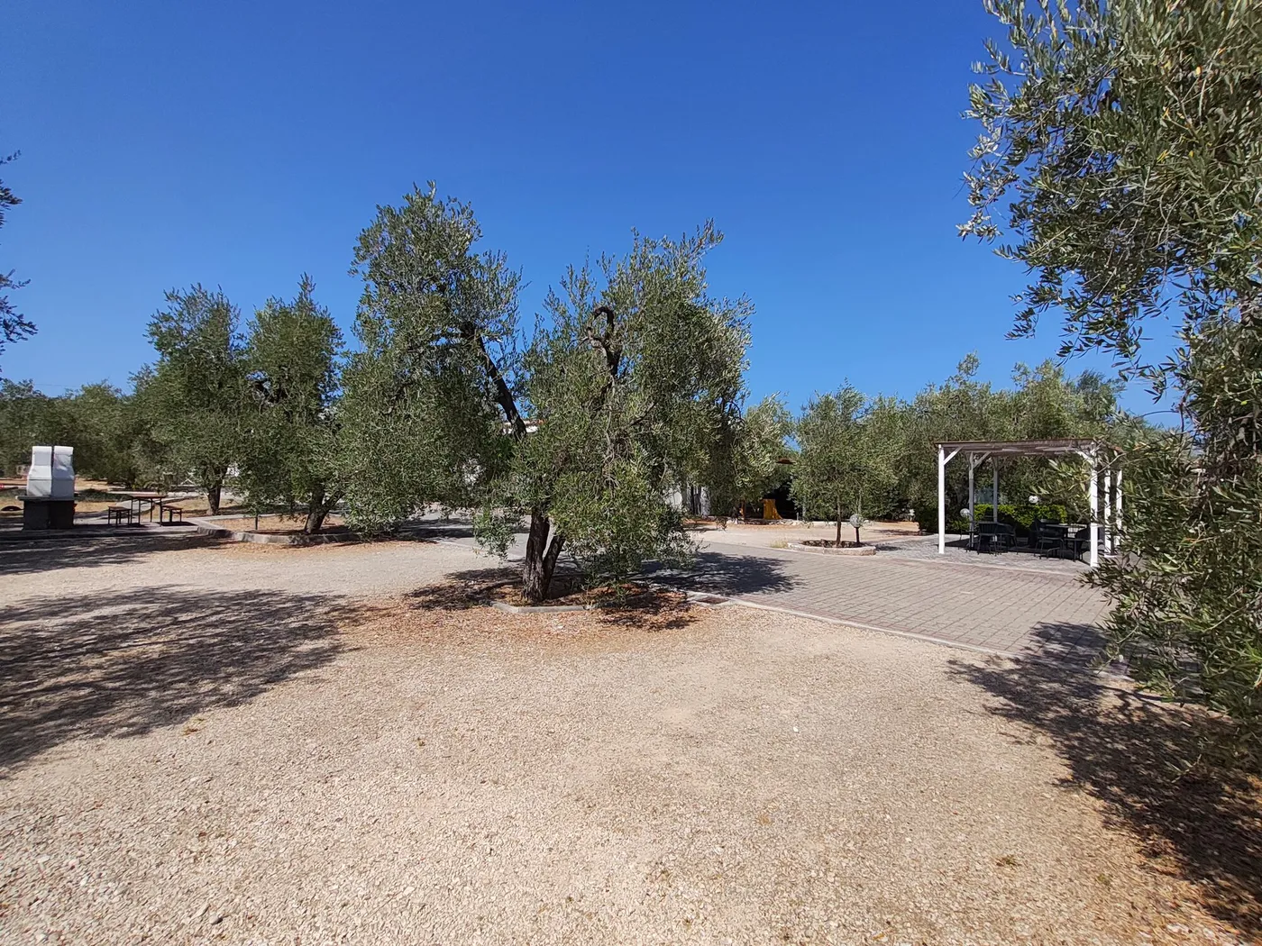 La Tenuta Montincello, foto 17