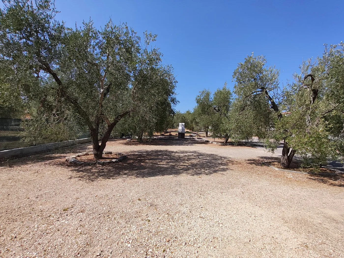 La Tenuta Montincello, foto 18