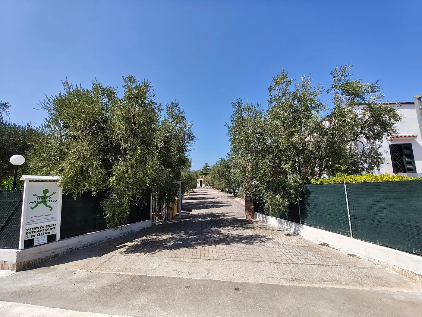 La Tenuta Montincello, foto 21