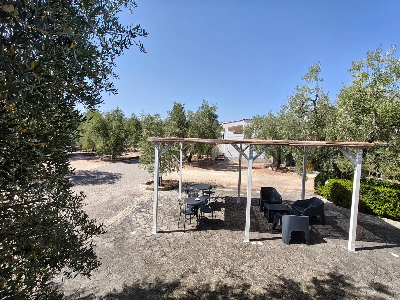 La Tenuta Montincello, foto 25