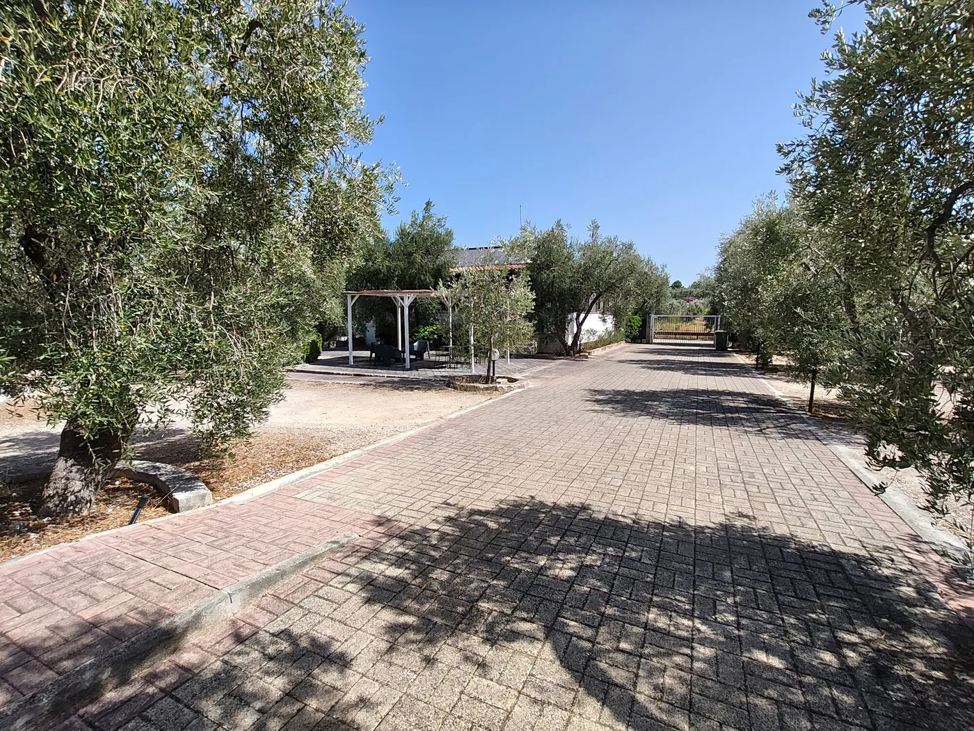 La Tenuta Montincello, foto 26