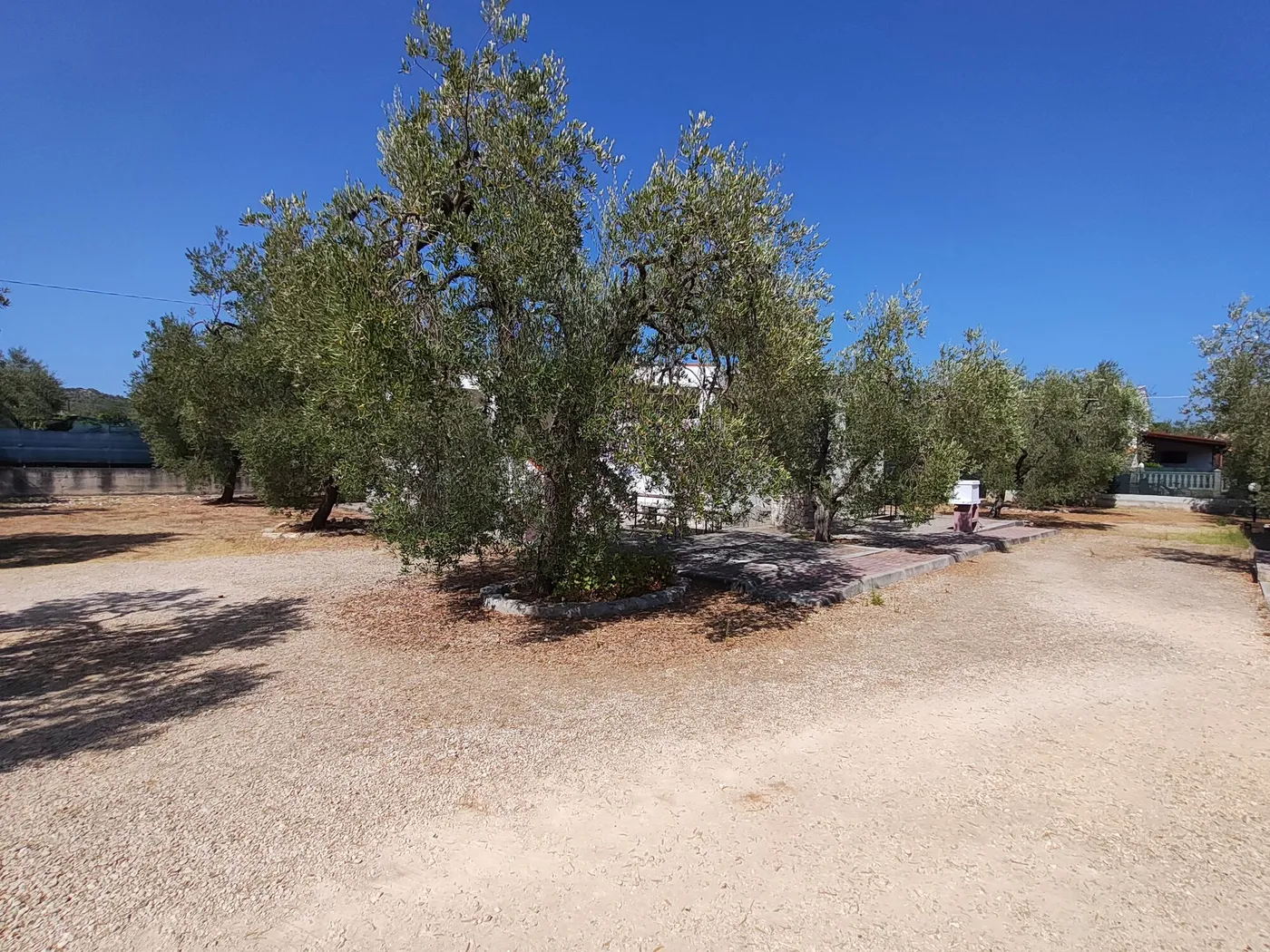 La Tenuta Montincello, foto 35