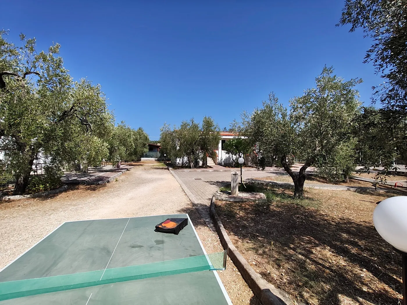 La Tenuta Montincello, foto 37