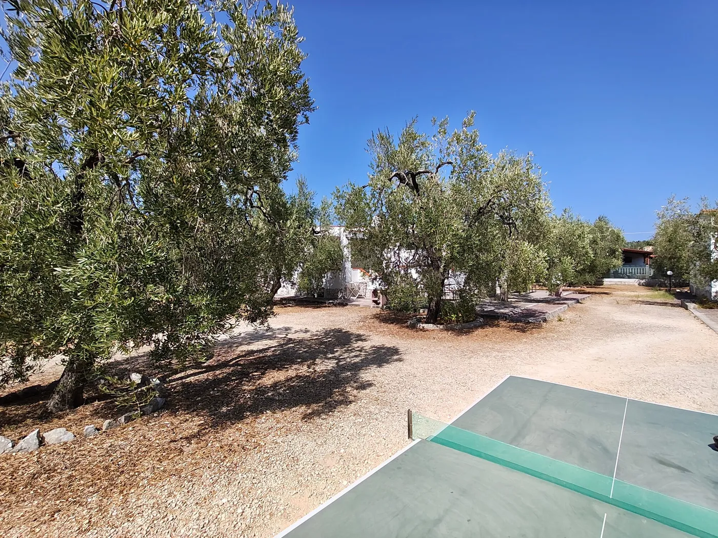 La Tenuta Montincello, foto 38