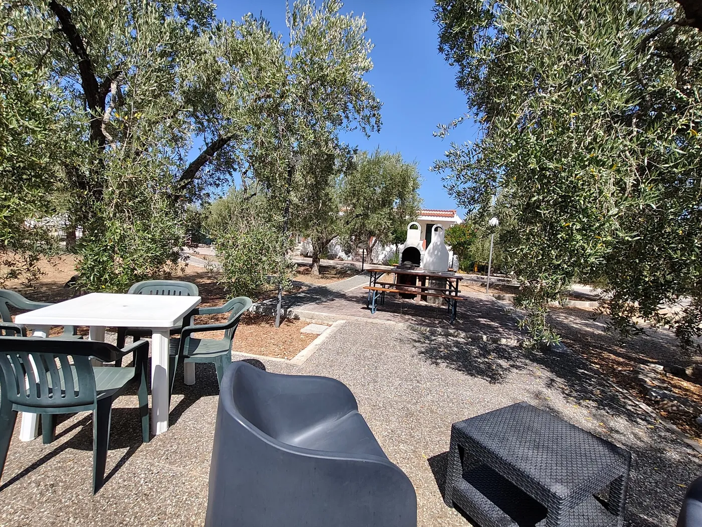 La Tenuta Montincello, foto 42