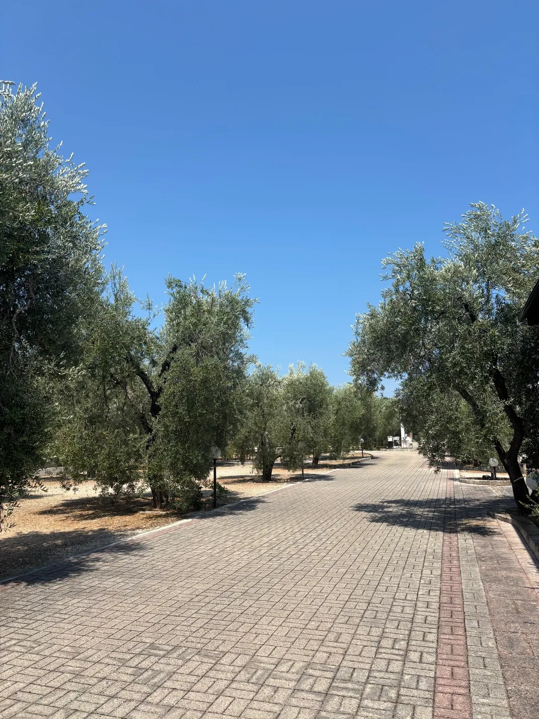 La Tenuta Montincello, foto 3