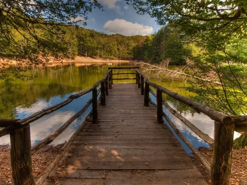 La Foresta Umbra nel Parco Nazionale del Gargano